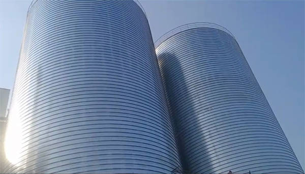 阿里2座混凝土高架卷板仓